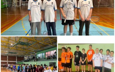 Županijsko natjecanje u badmintonu