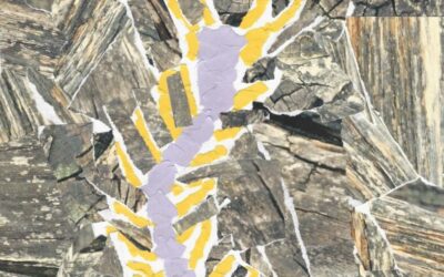 Učenica Doris Bačani (3.b) dobila je posebnu pohvalu za likovni rad na likovnom natječaju povodom Dana planeta Zemlje