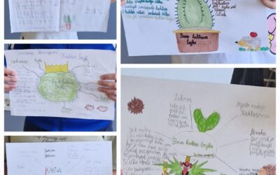 Ostvaren eTwinning projekt “Lektira bez papira 5” u 3.b razredu
