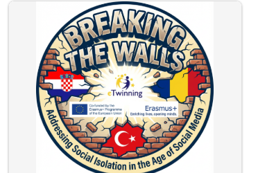 Breaking the Walls: Addressing Social Isolation in the Age of Social Media